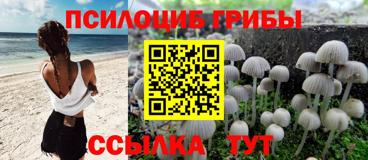 Ухта  Галлюциногенные грибы Psilocybe  цена   Псилоцибиновые грибы Cubensis  Вход с VPN 