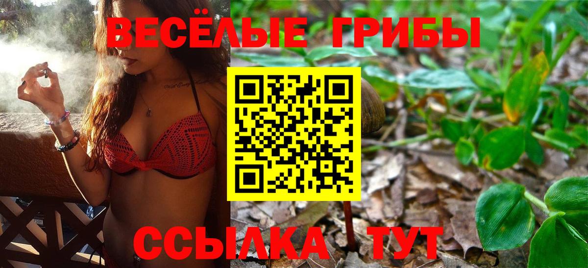Галлюциногенные грибы Psilocybine cubensis Ухта